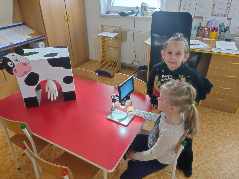 Zvířata na dvorečku - Žluťásci