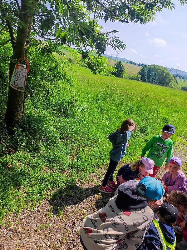 Cesta za pirátským pokladem - Žluťásci