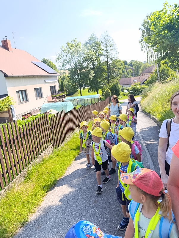 Žluťásci a Modrásci - Peší výlet- Zítkova rozhledna