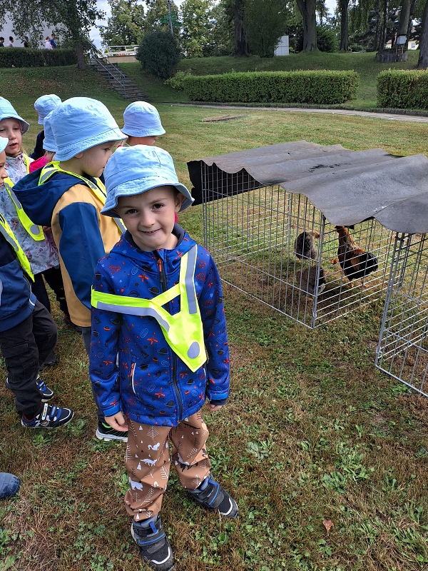 Výstava drobného zvířectva-Modrásci