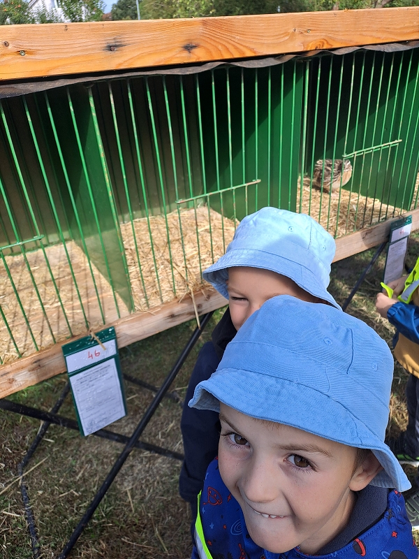 Výstava drobného zvířectva-Modrásci