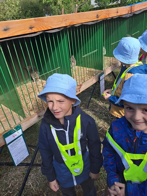 Výstava drobného zvířectva-Modrásci