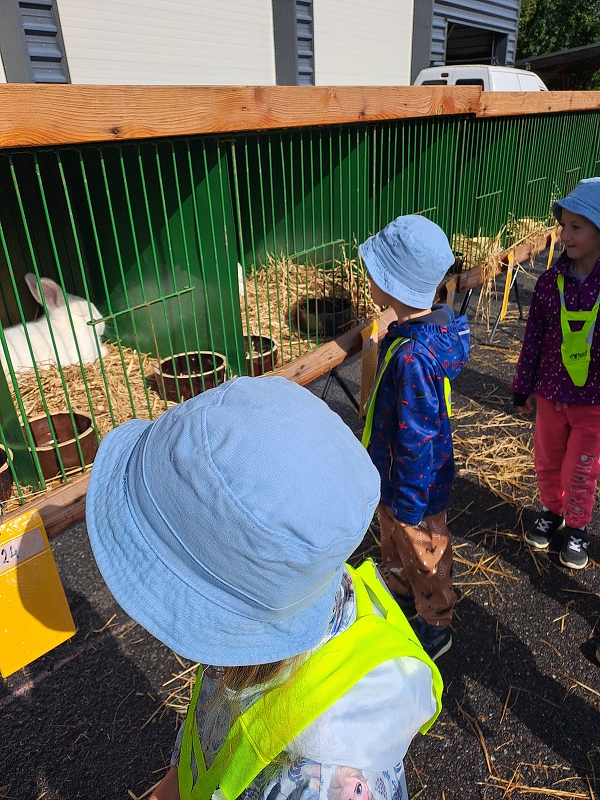 Výstava drobného zvířectva-Modrásci