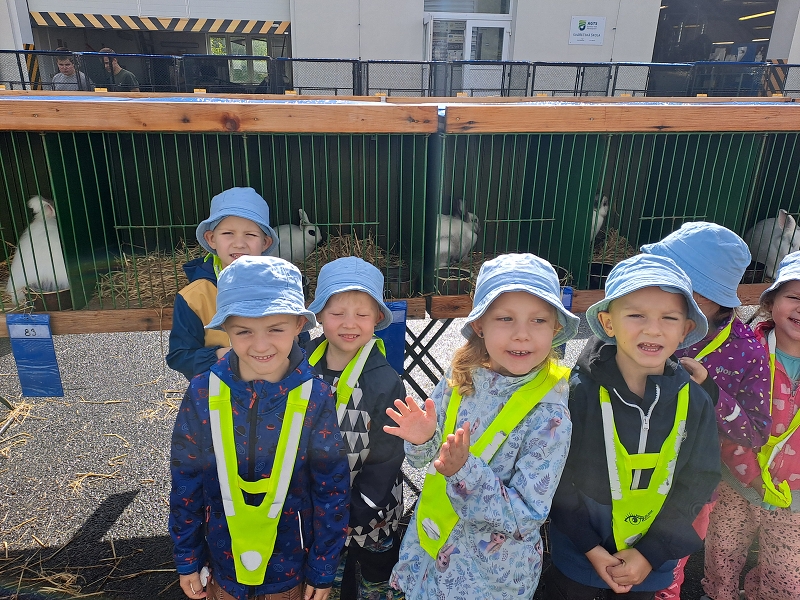 Výstava drobného zvířectva-Modrásci