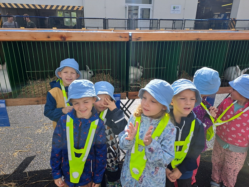 Výstava drobného zvířectva-Modrásci