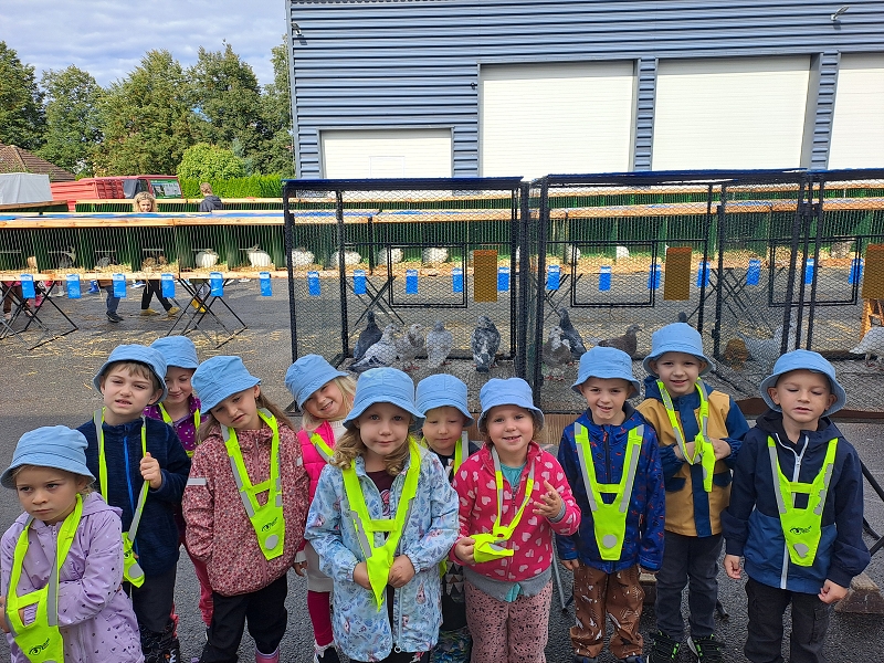 Výstava drobného zvířectva-Modrásci