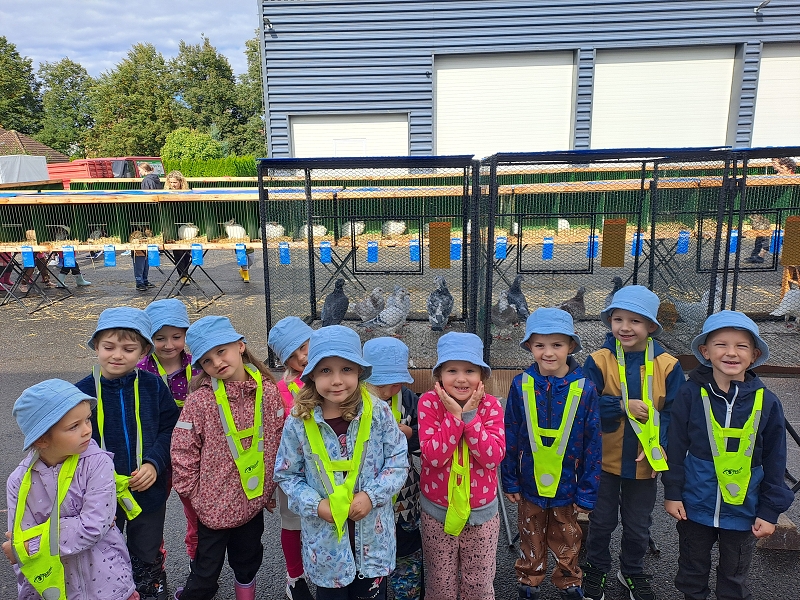 Výstava drobného zvířectva-Modrásci