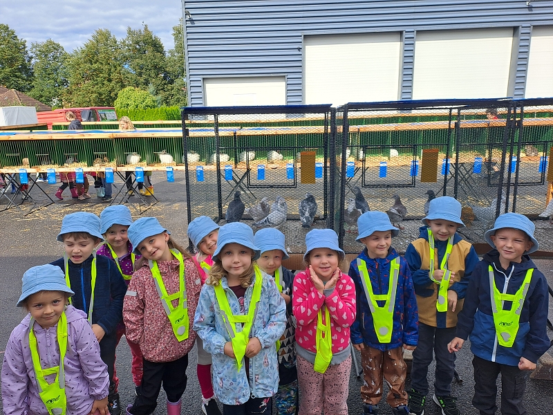 Výstava drobného zvířectva-Modrásci