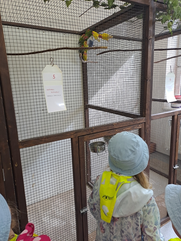 Výstava drobného zvířectva-Modrásci