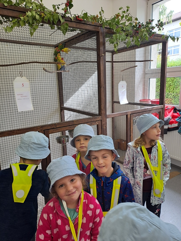 Výstava drobného zvířectva-Modrásci