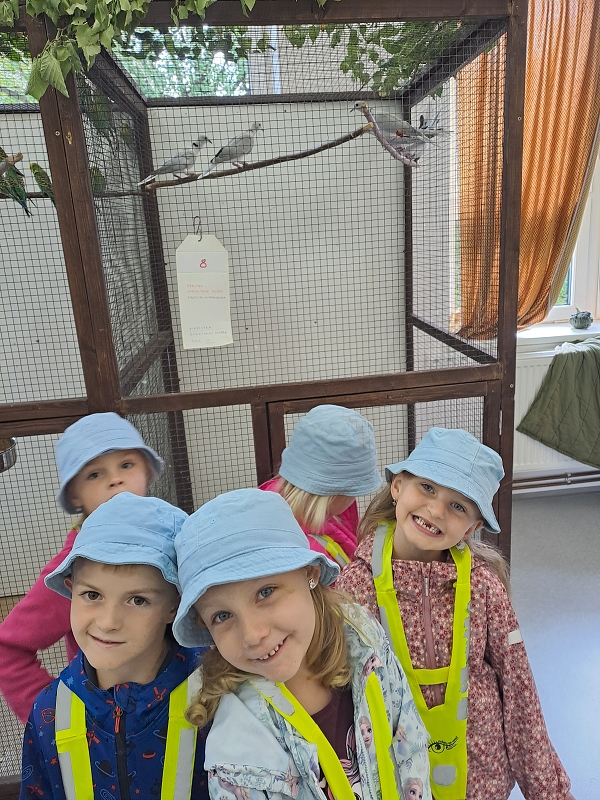 Výstava drobného zvířectva-Modrásci