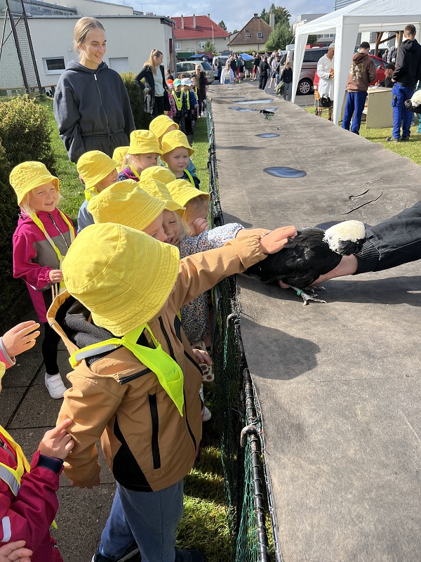 Žluťásci - Výstava drobného zvířectva