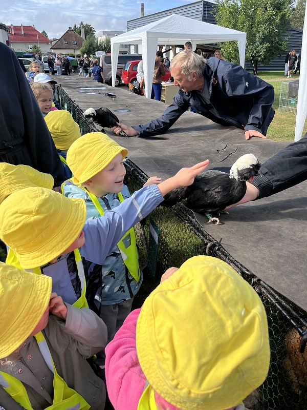 Žluťásci - Výstava drobného zvířectva
