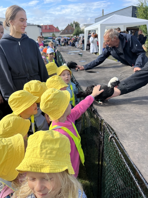 Žluťásci - Výstava drobného zvířectva