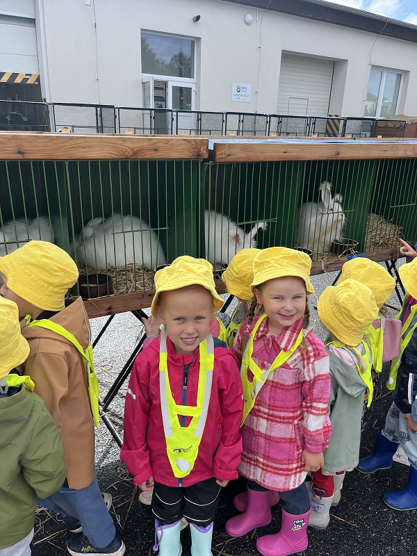 Žluťásci - Výstava drobného zvířectva