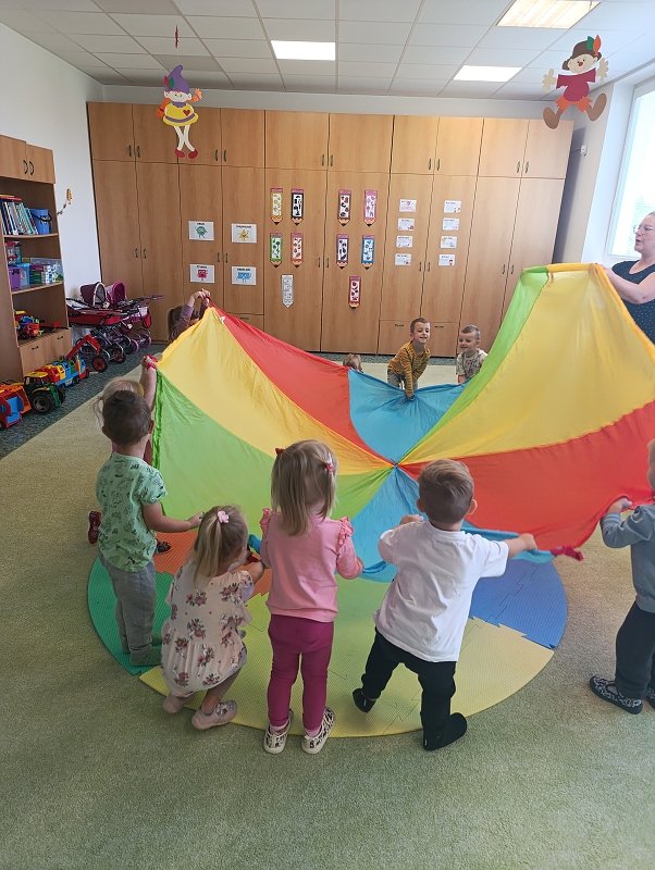 Zeleňásci - Město