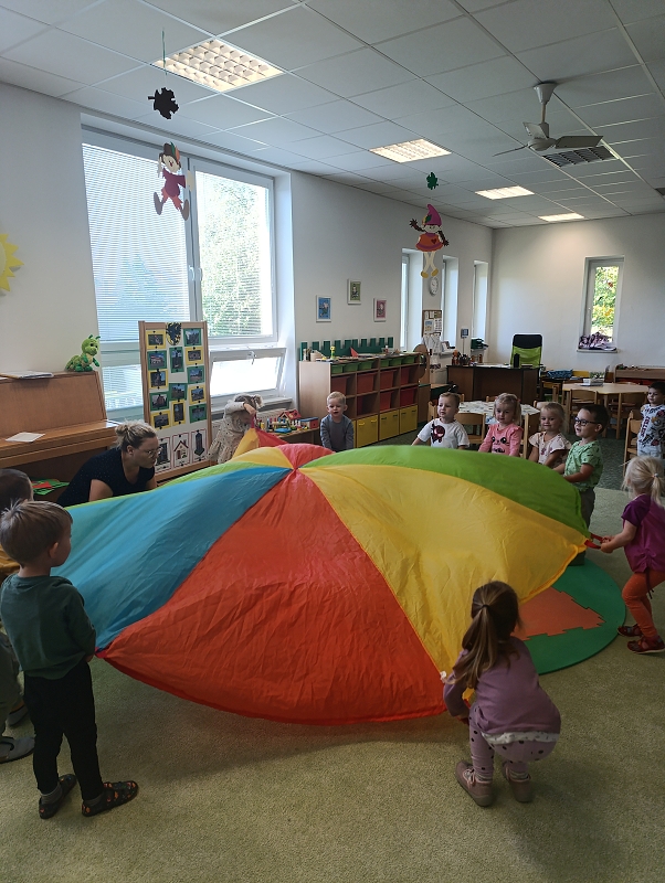 Zeleňásci - Město