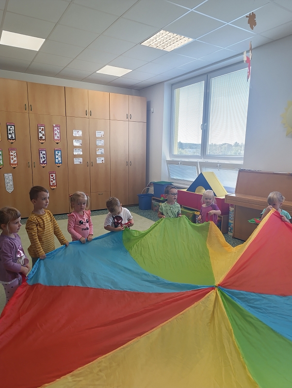 Zeleňásci - Město