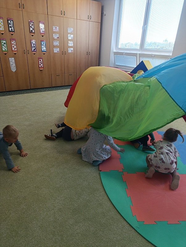 Zeleňásci - Město