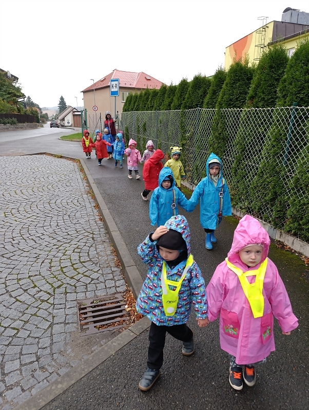 Zeleňásci - Město