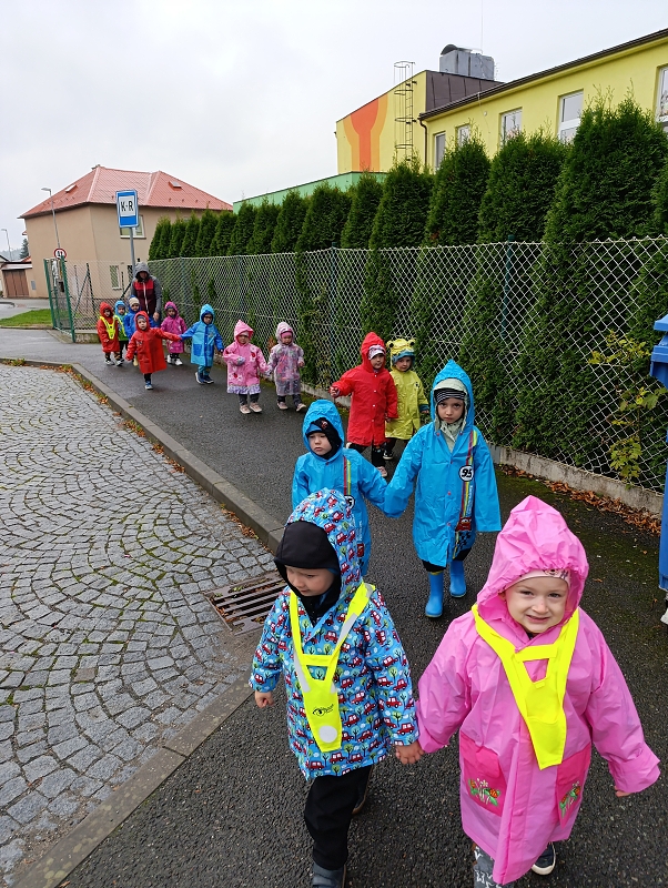 Zeleňásci - Město