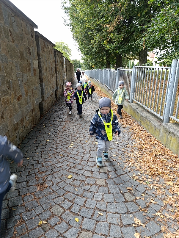 Zeleňásci - Rodina