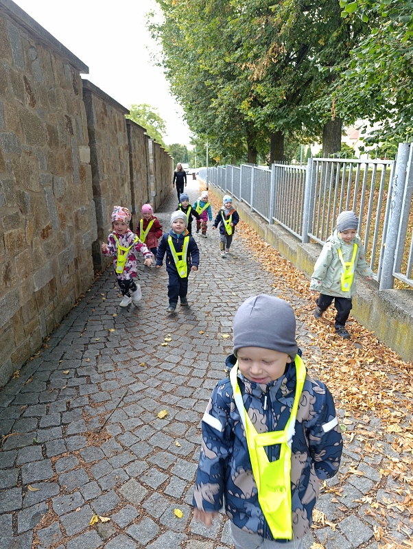 Zeleňásci - Rodina