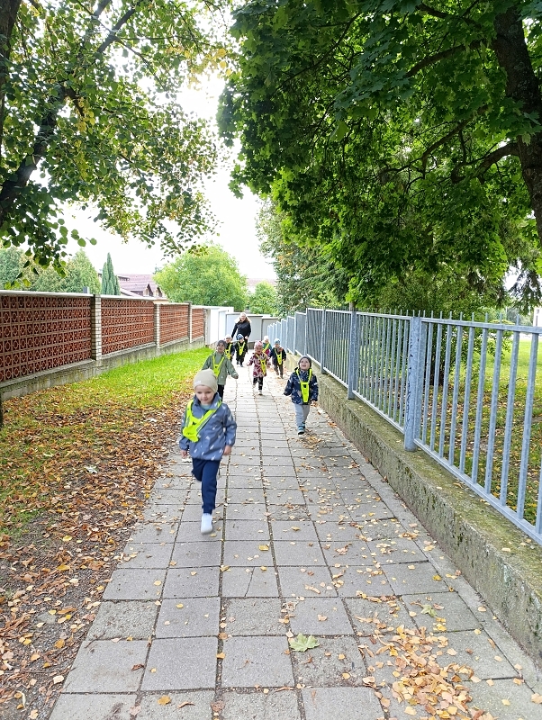 Zeleňásci - Rodina