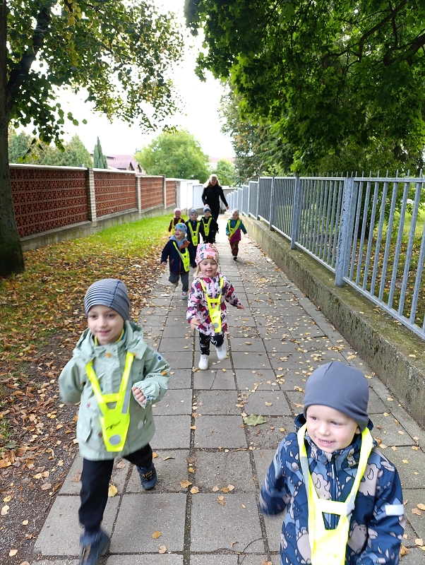 Zeleňásci - Rodina