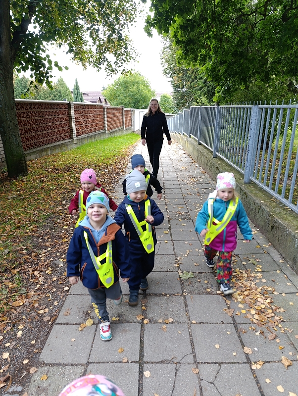 Zeleňásci - Rodina