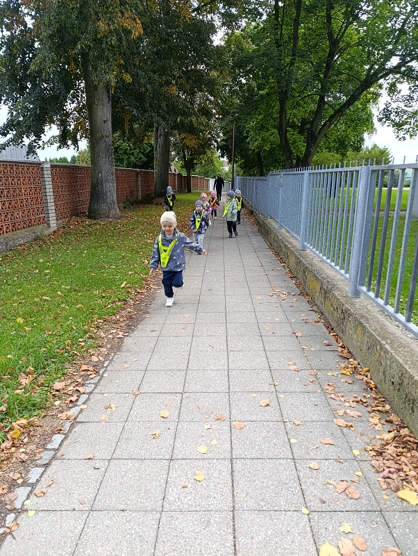 Zeleňásci - Rodina