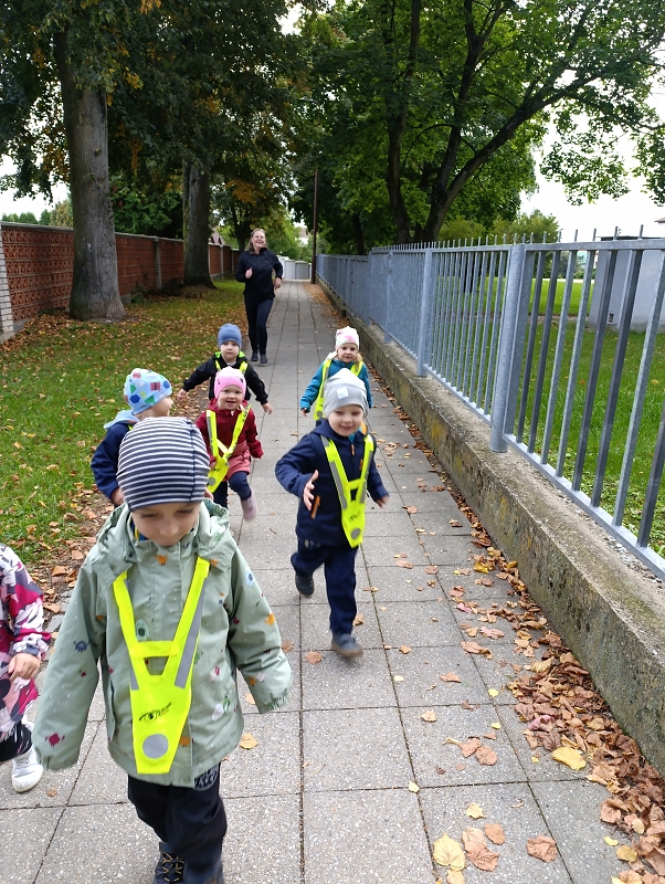 Zeleňásci - Rodina