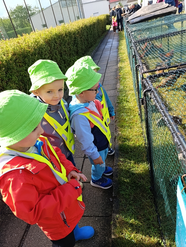 Zeleňásci - Výstava drobného zvířectva