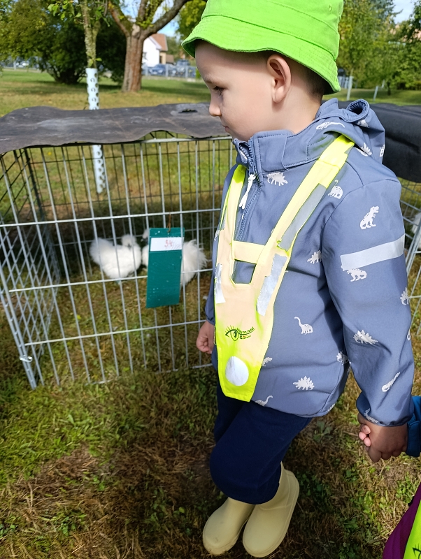 Zeleňásci - Výstava drobného zvířectva