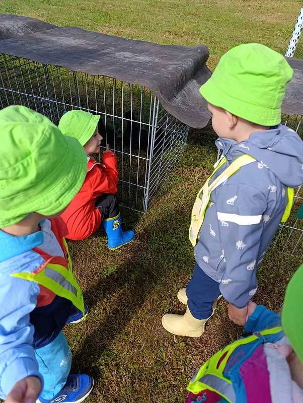 Zeleňásci - Výstava drobného zvířectva