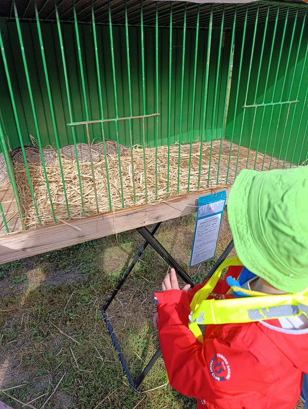 Zeleňásci - Výstava drobného zvířectva