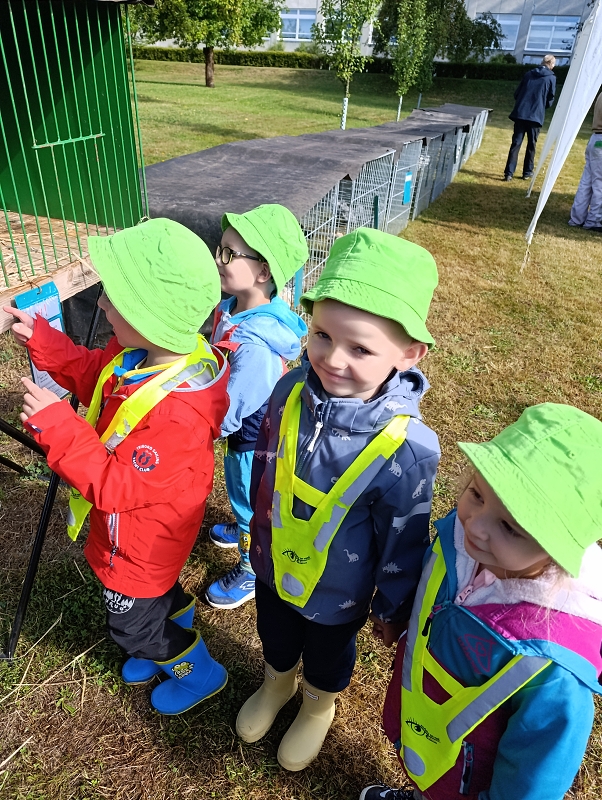 Zeleňásci - Výstava drobného zvířectva