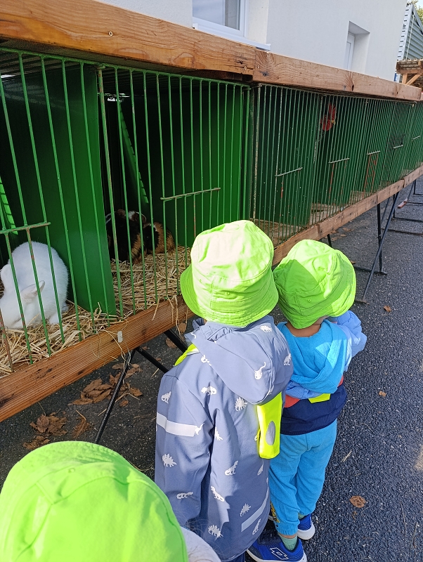 Zeleňásci - Výstava drobného zvířectva