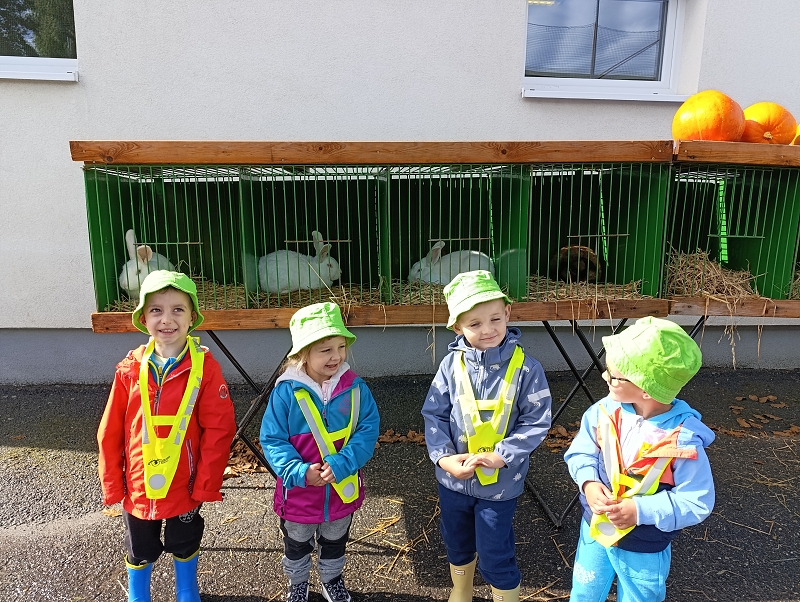 Zeleňásci - Výstava drobného zvířectva