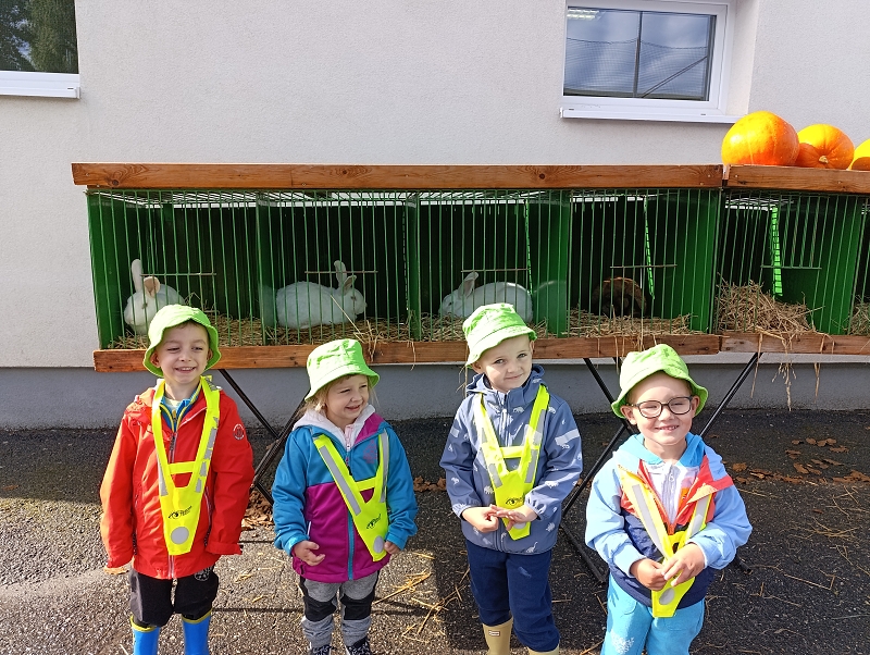 Zeleňásci - Výstava drobného zvířectva