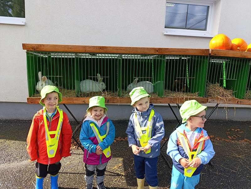 Zeleňásci - Výstava drobného zvířectva