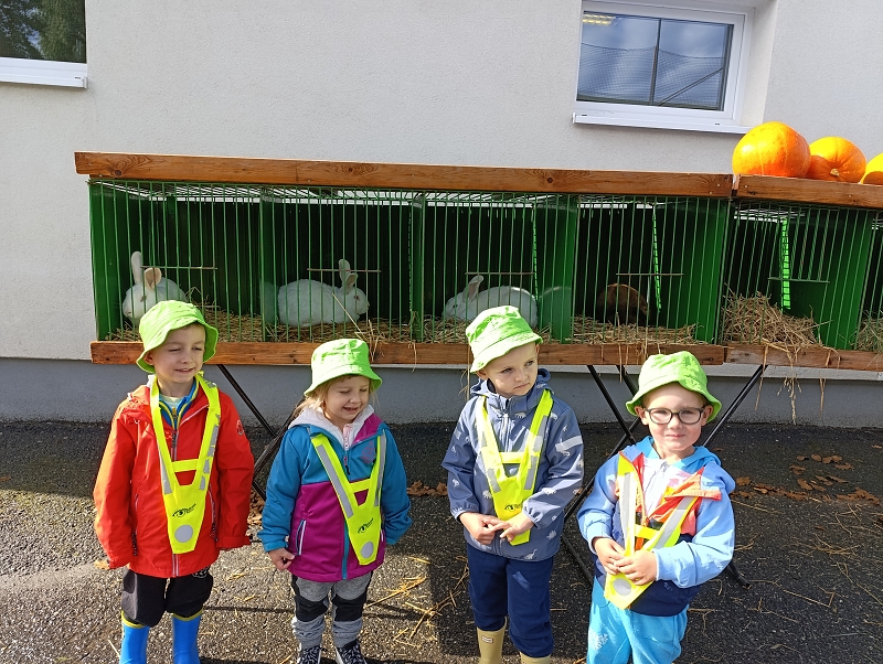 Zeleňásci - Výstava drobného zvířectva