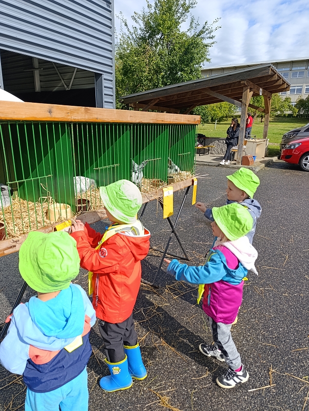 Zeleňásci - Výstava drobného zvířectva