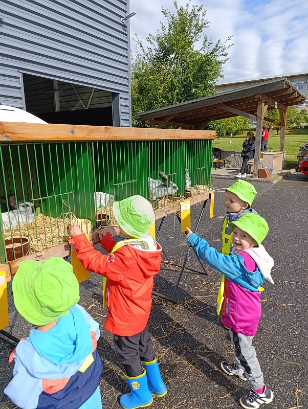 Zeleňásci - Výstava drobného zvířectva