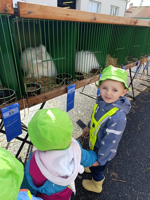 Zeleňásci - Výstava drobného zvířectva