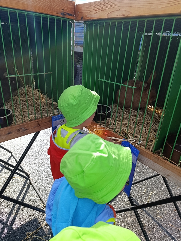 Zeleňásci - Výstava drobného zvířectva