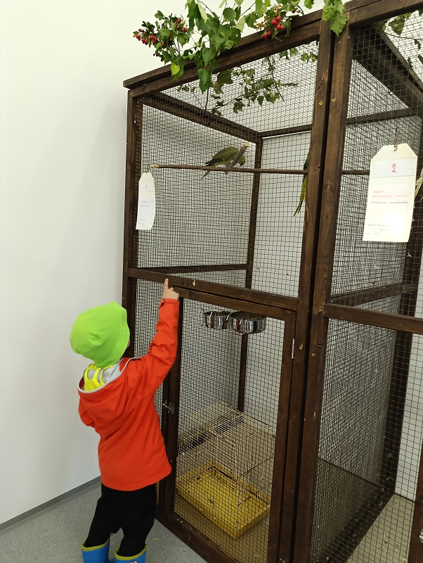 Zeleňásci - Výstava drobného zvířectva