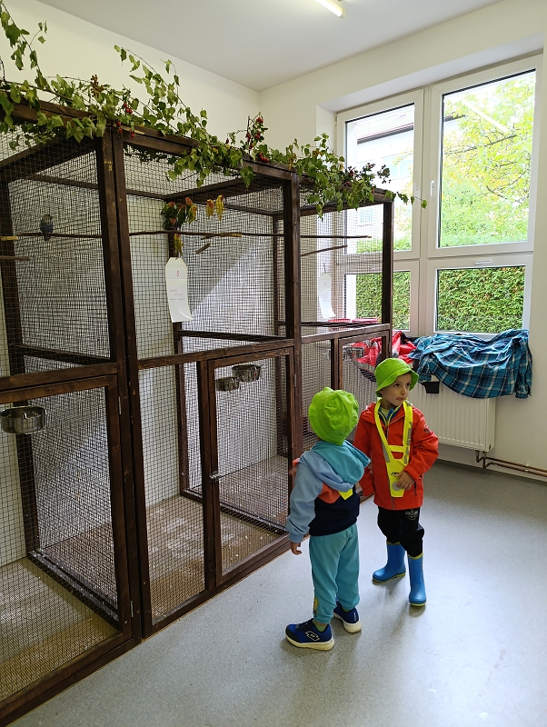 Zeleňásci - Výstava drobného zvířectva