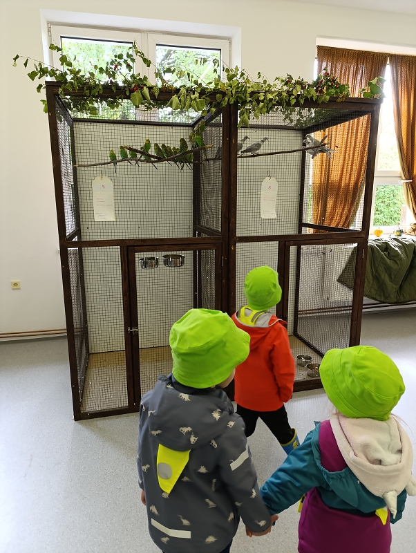 Zeleňásci - Výstava drobného zvířectva