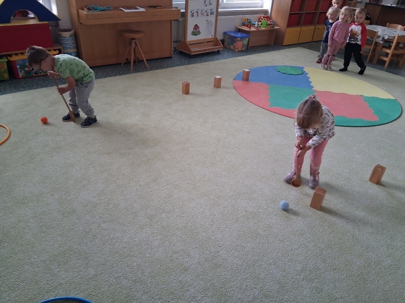 Zeleňásci v pohybu